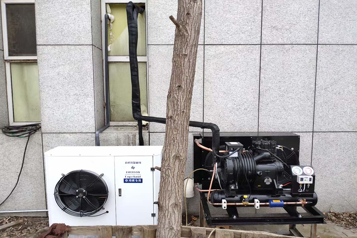 商超生鲜双温冷库项目调试完成,正式投入使用 (图1) 商超生鲜双温冷库项目调试完成,正式投入使用 (图1)
